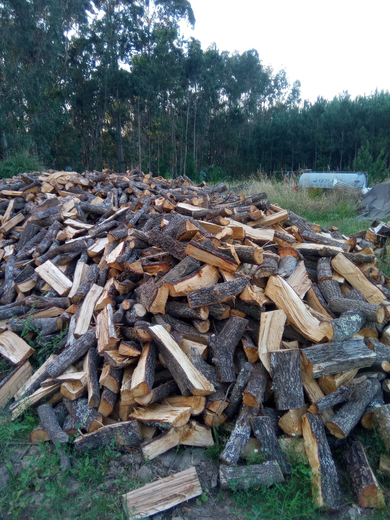 Venda de lenha seca em Leiria para aquecimento eficiente e duradouro.