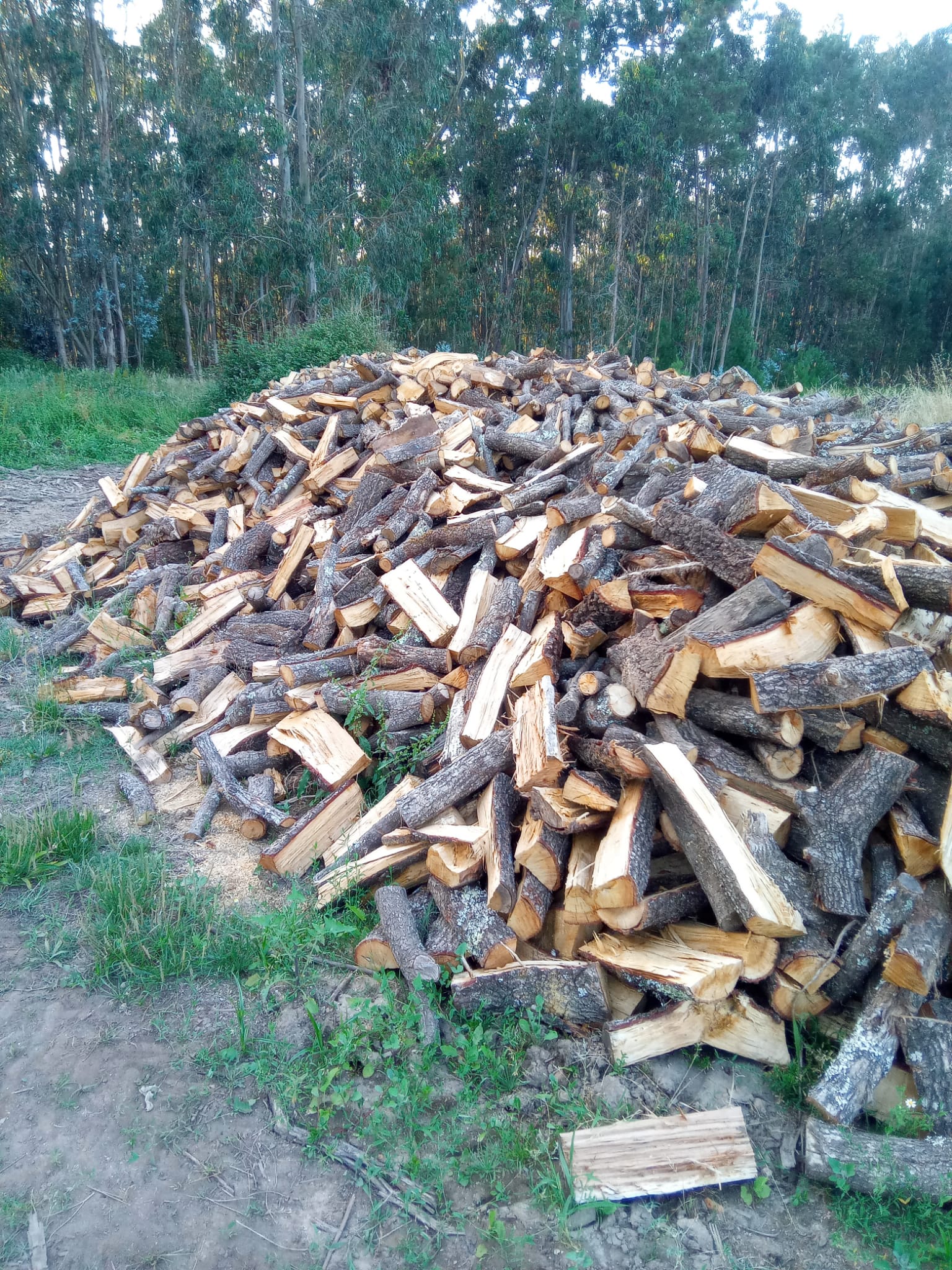 Lenha cortada e seca para lareira, disponível para entrega em Leiria.