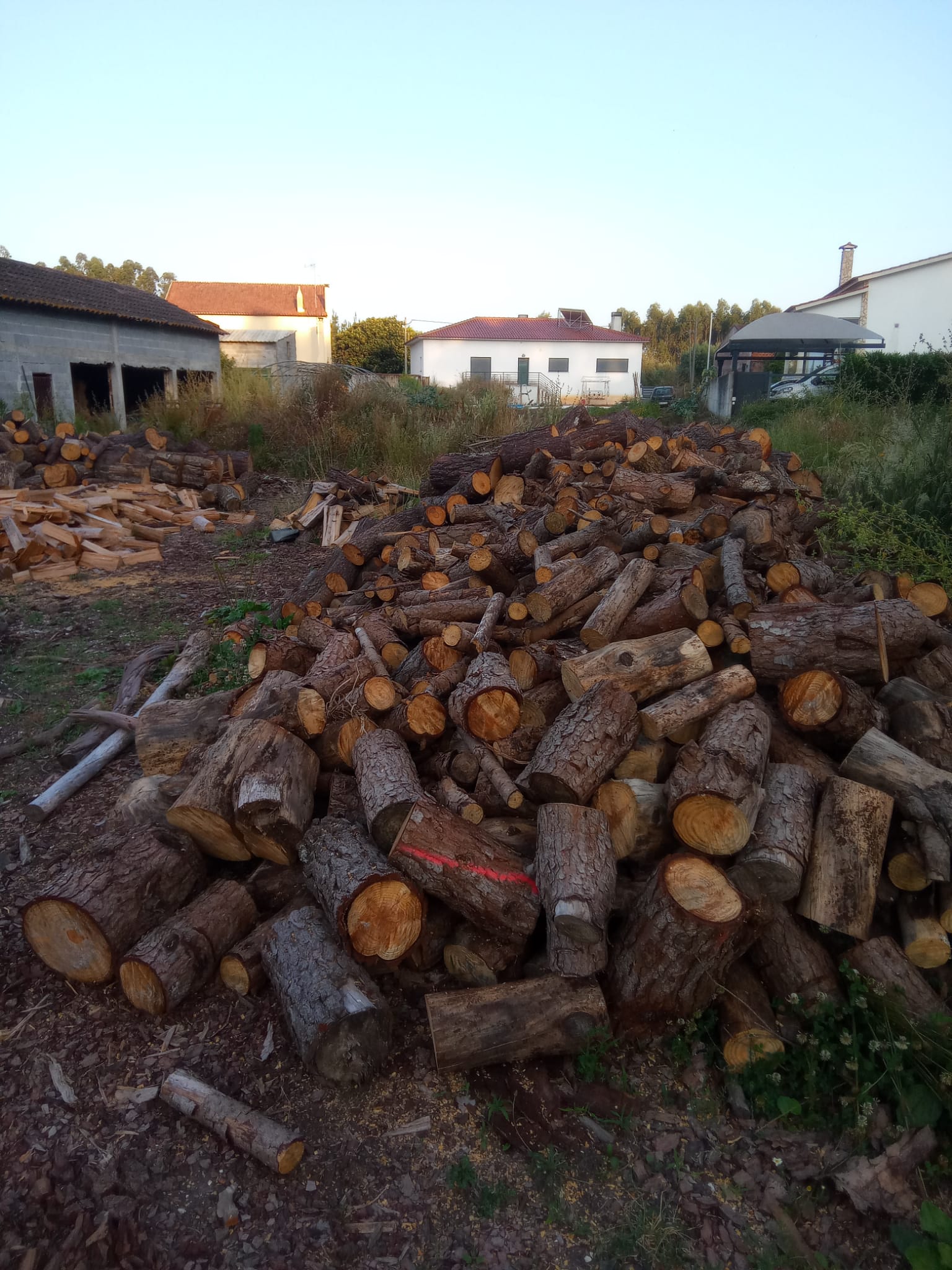 Lenha seca de eucalipto à venda em Leiria, pronta para lareiras e fogões a lenha.