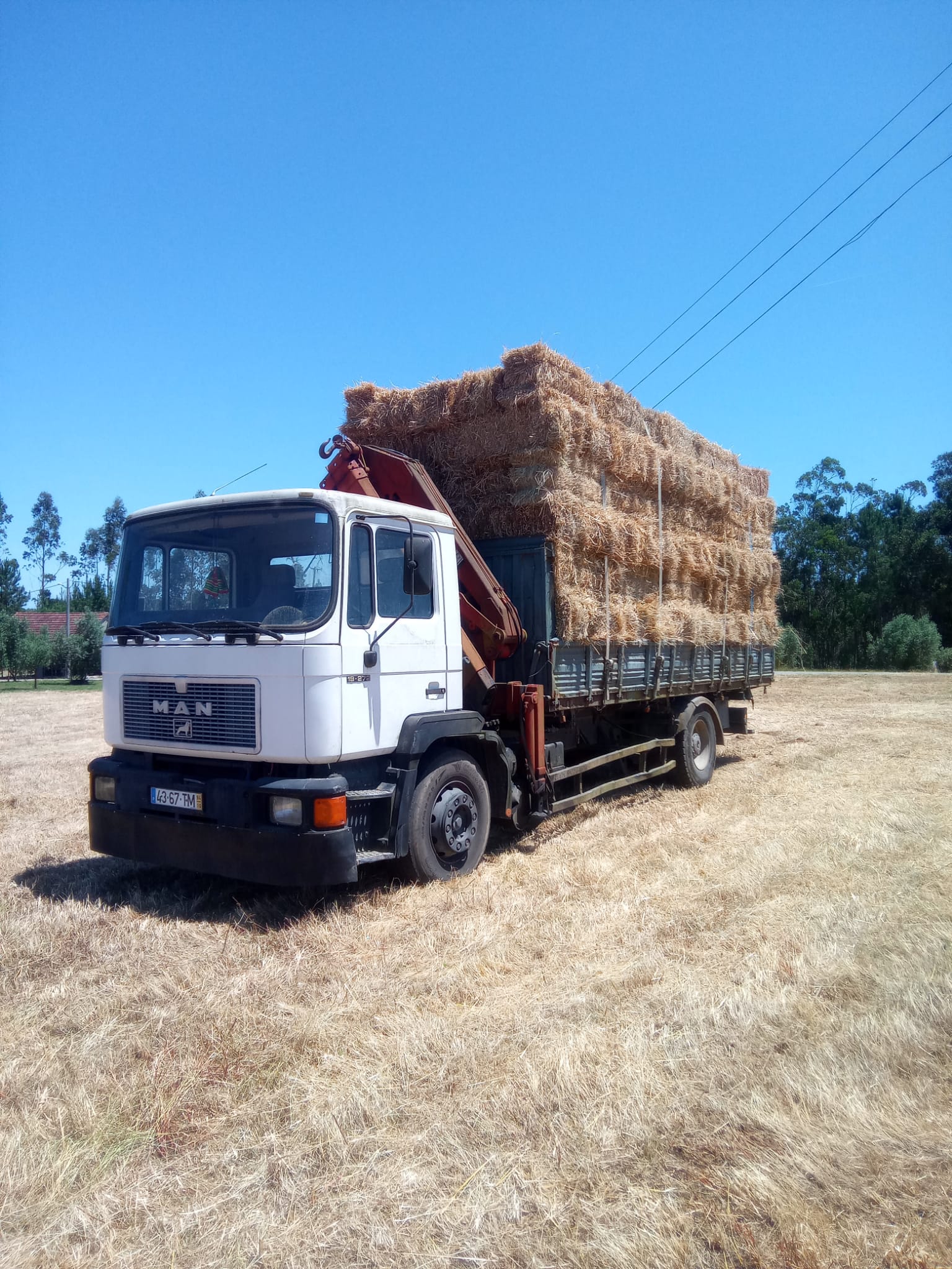 Camião carregado com palha para venda e entrega em Leiria.
