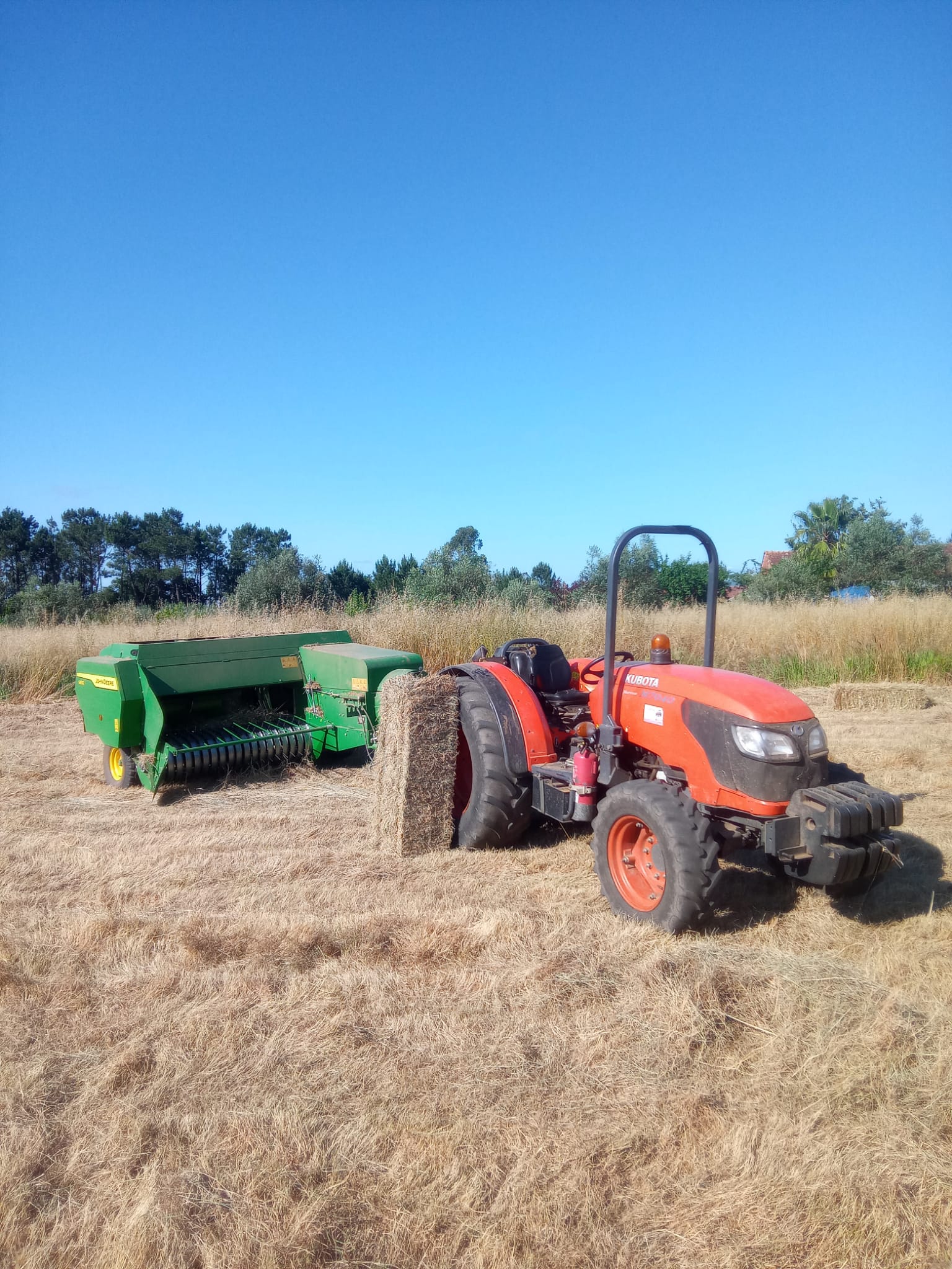 Trator com fardos de palha para venda na região de Leiria.