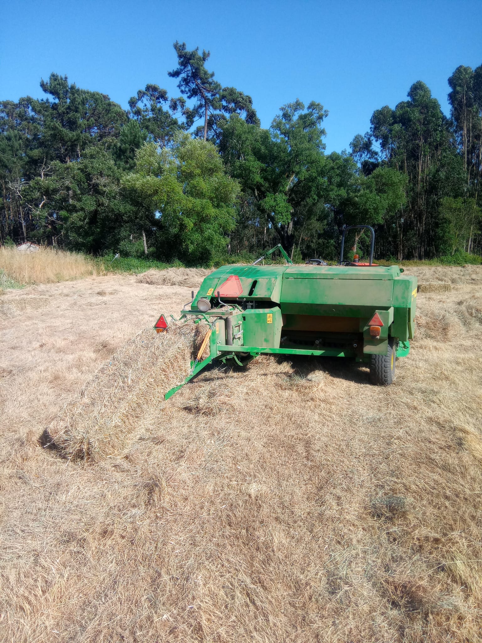Palha enfardada disponível para venda direta em Leiria.