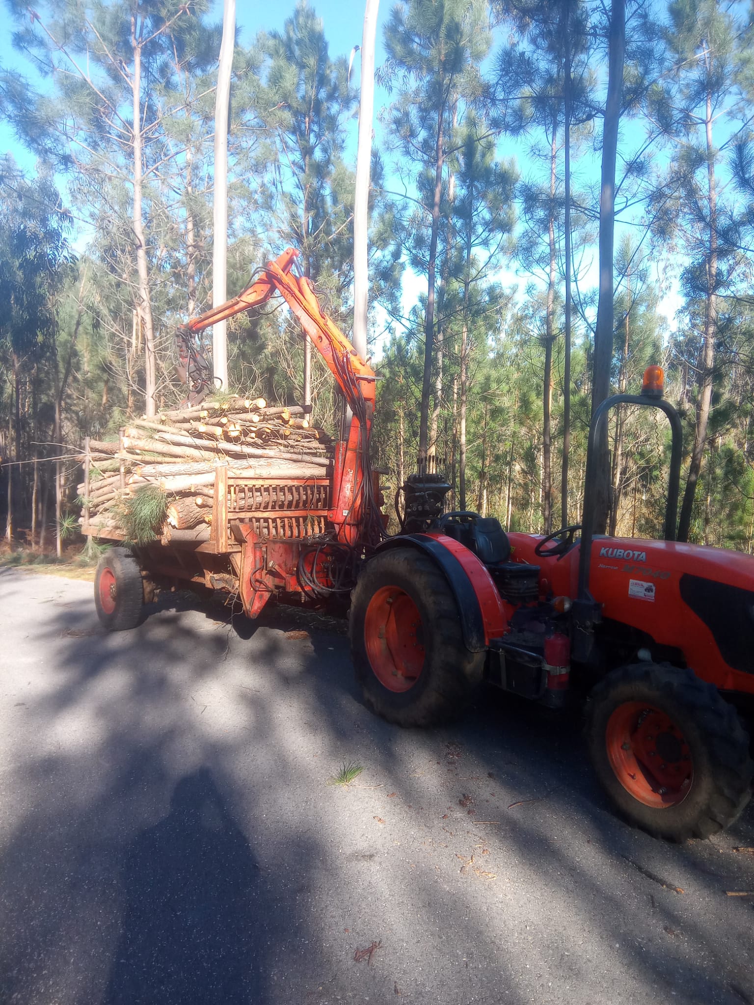 Manutenção florestal através de trabalhos silvícolas em Leiria.